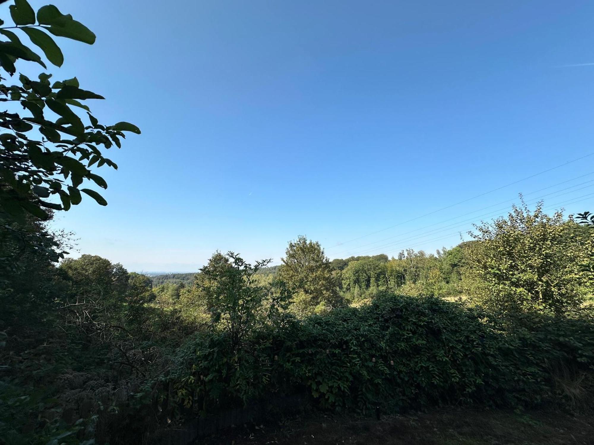 Zentrale Lage Zu Koeln Mitten In Der Natur! Bergisch Gladbach Zewnętrze zdjęcie