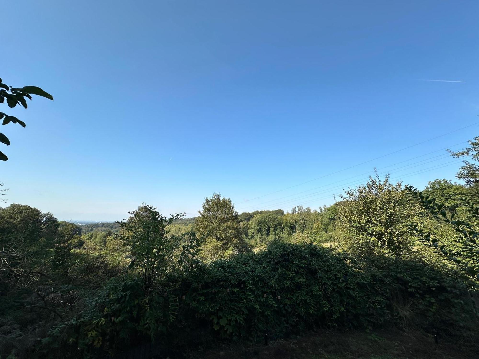 Zentrale Lage Zu Koeln Mitten In Der Natur! Bergisch Gladbach Zewnętrze zdjęcie